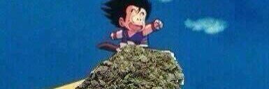 Cabelo24's profile banner image