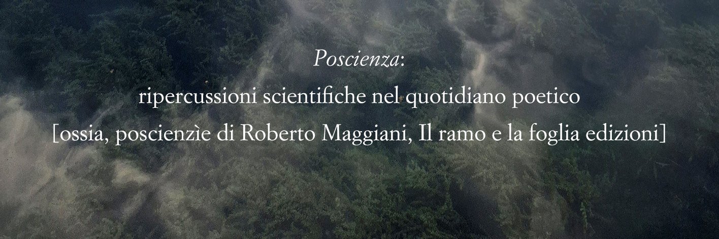 Roberto Maggiani banner