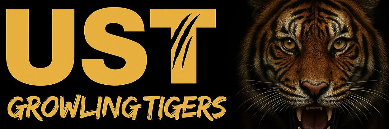USTTigers's profile banner image