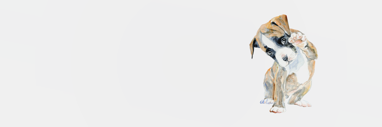 nanda_cillo's profile banner image