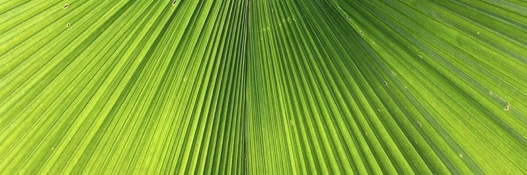 susymoncy's profile banner image