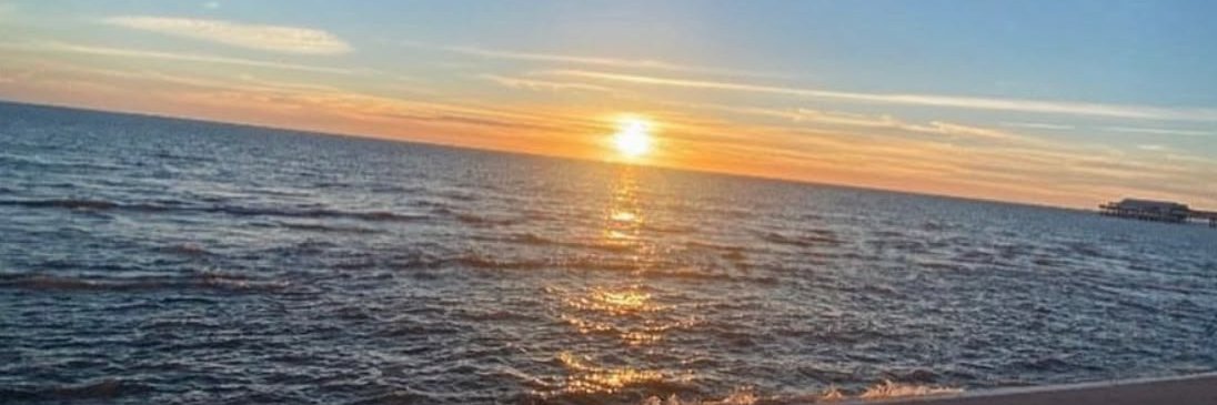 ava_lynn26's profile banner image