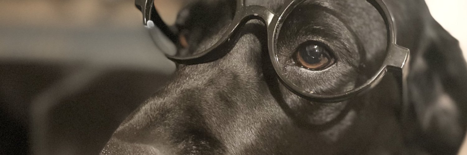 dumdoggg's profile banner image