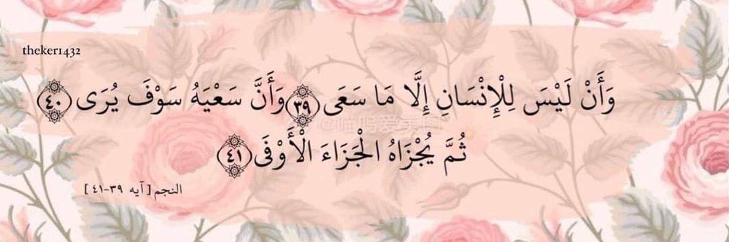 Hams Badereldin 🎋🦌 banner