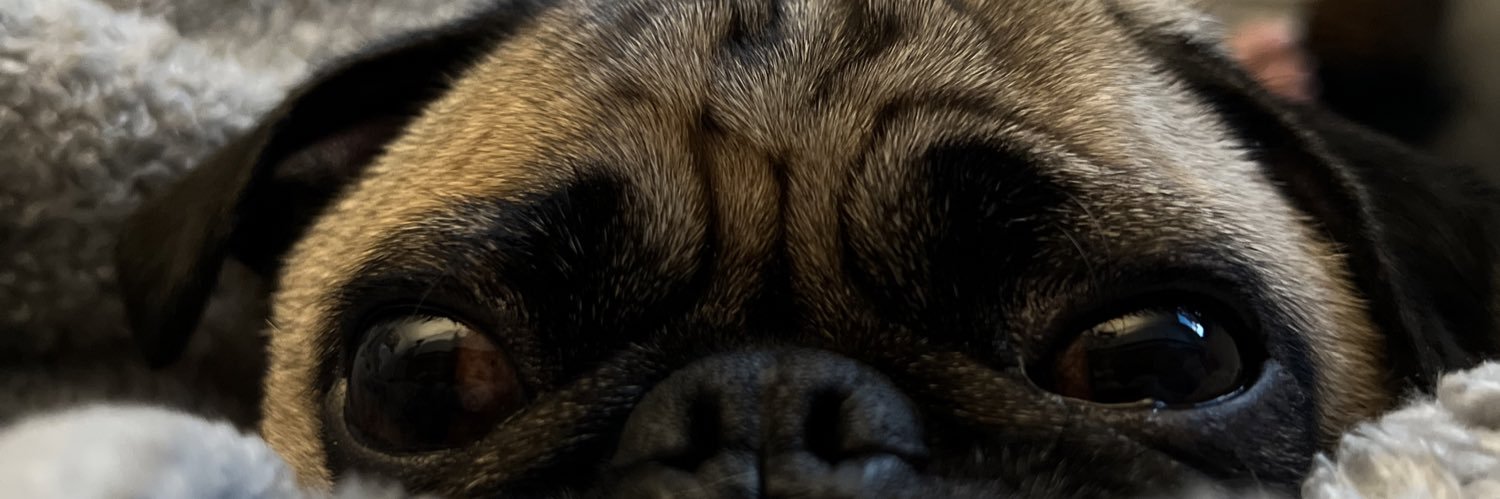 murricaa1's profile banner image