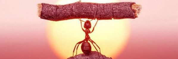ibal_kurus's profile banner image