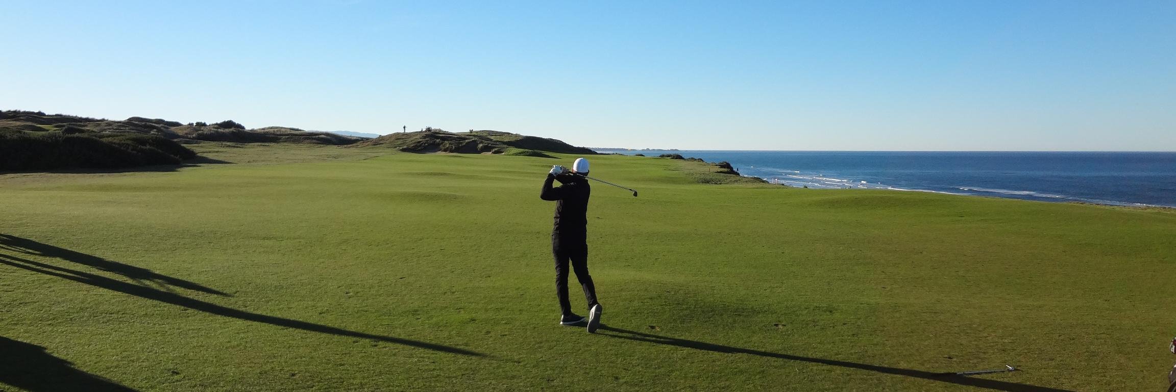 Brian McDonald banner