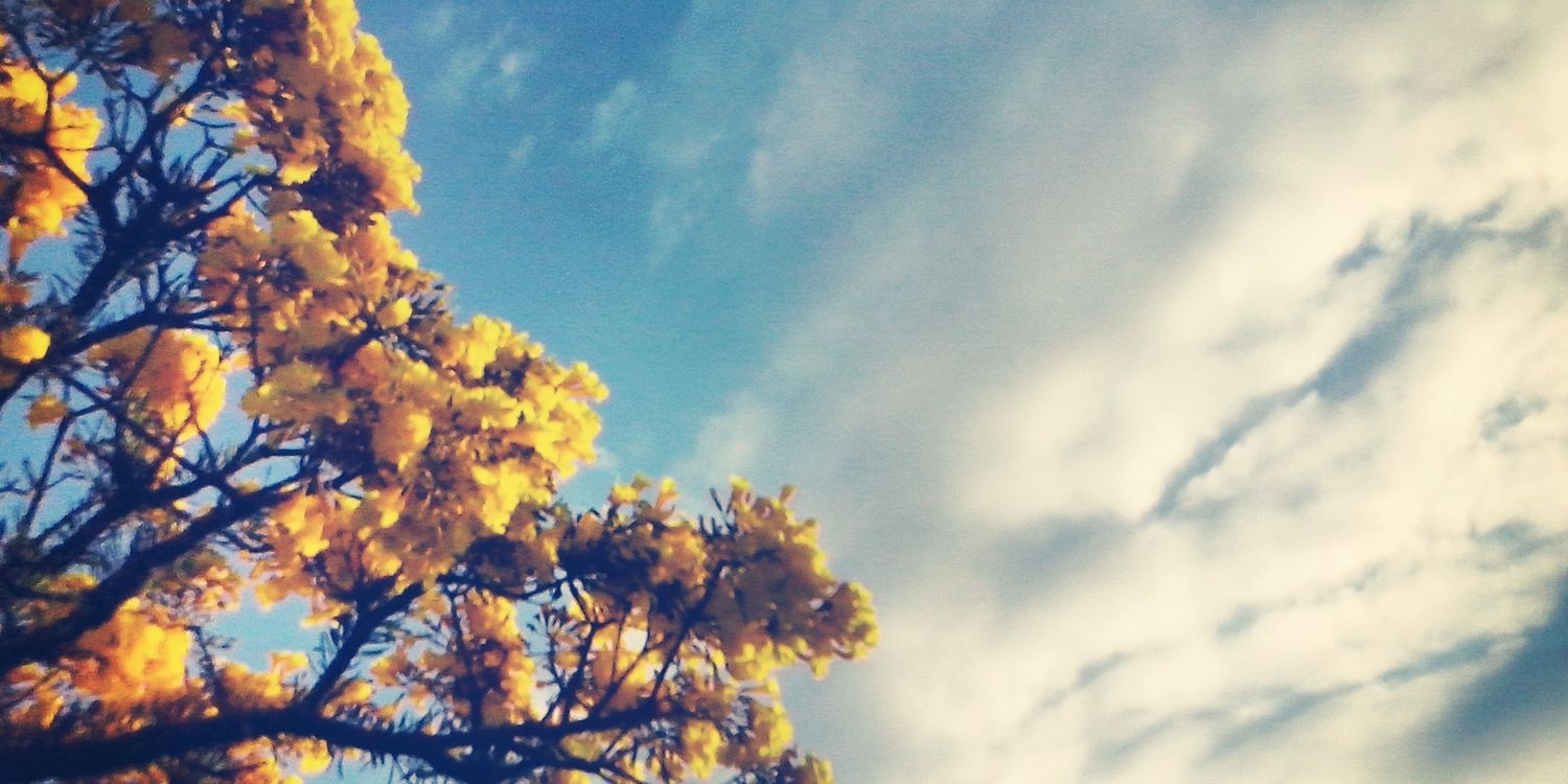 bi_roberta's profile banner image