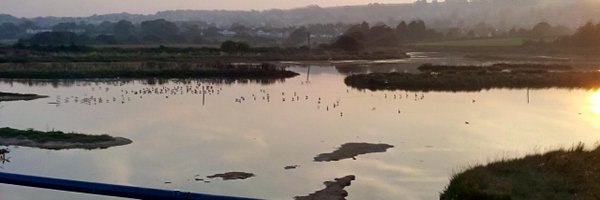 greenseaton Profile Banner