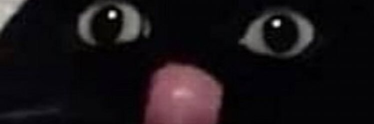_Toomcul's profile banner image