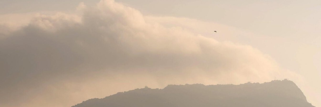 Giorgio Pompei 🇪🇺 banner