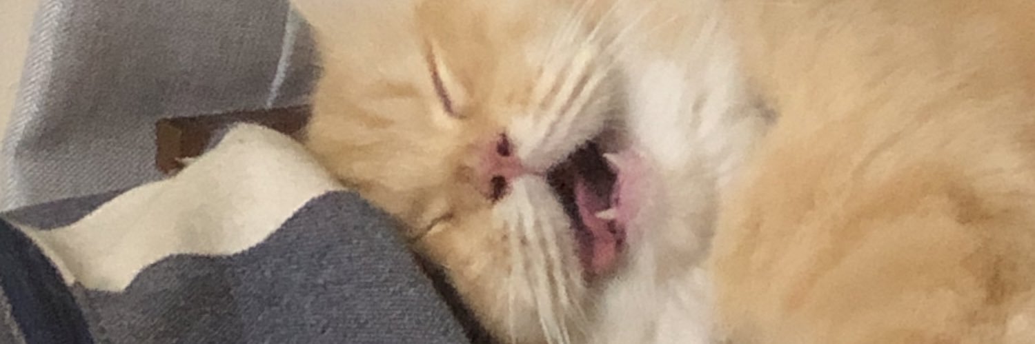 patriciaaagh's profile banner image