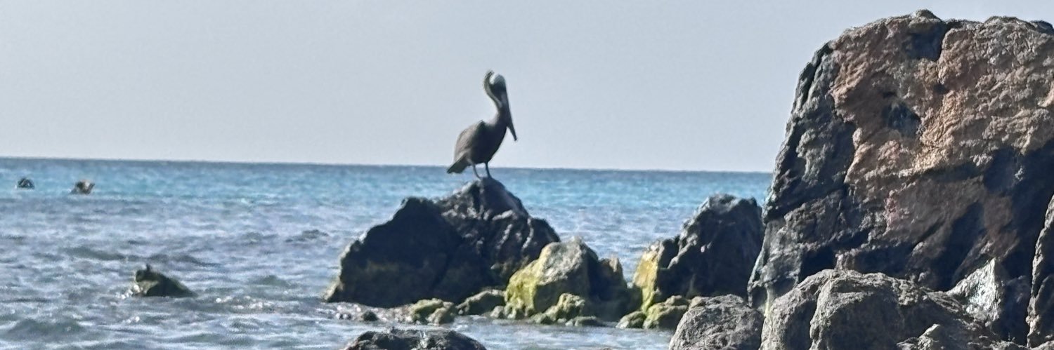 Maferferaud's profile banner image
