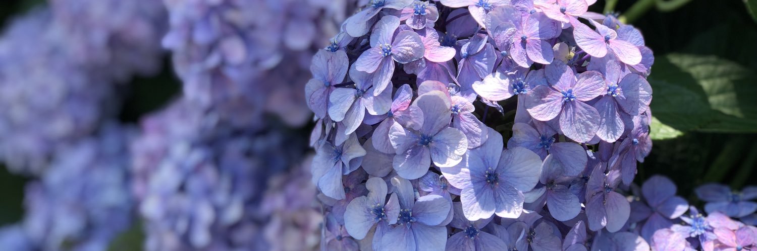 w8322d's profile banner image