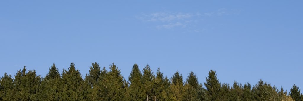 Klemen Muhič banner
