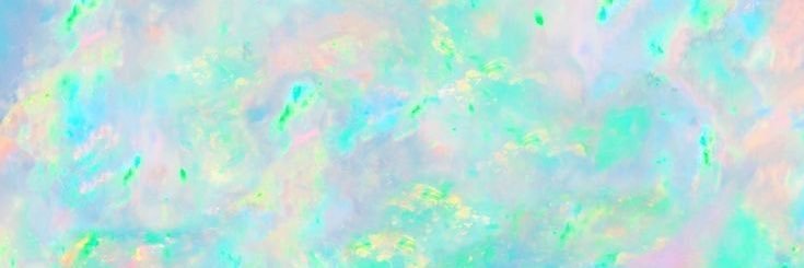 noelleeperry's profile banner image