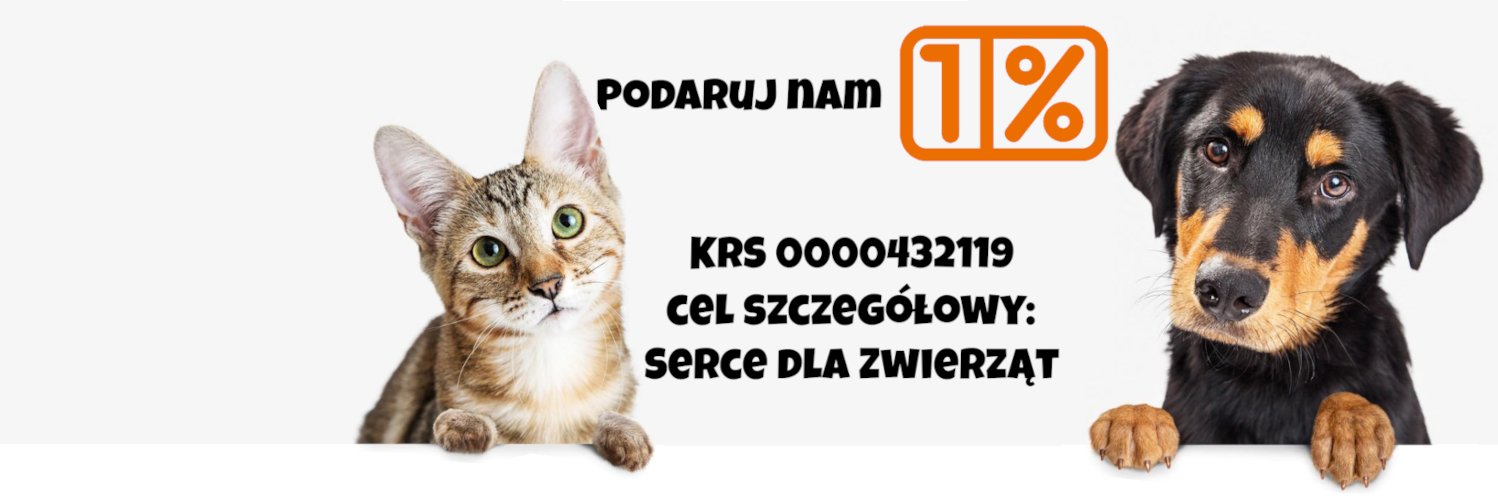 FundacjaSDZ's profile banner image