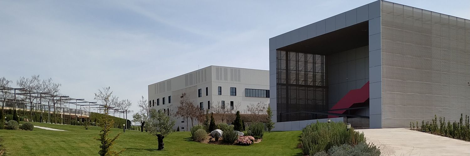 Manuel Valverde Ibáñez banner