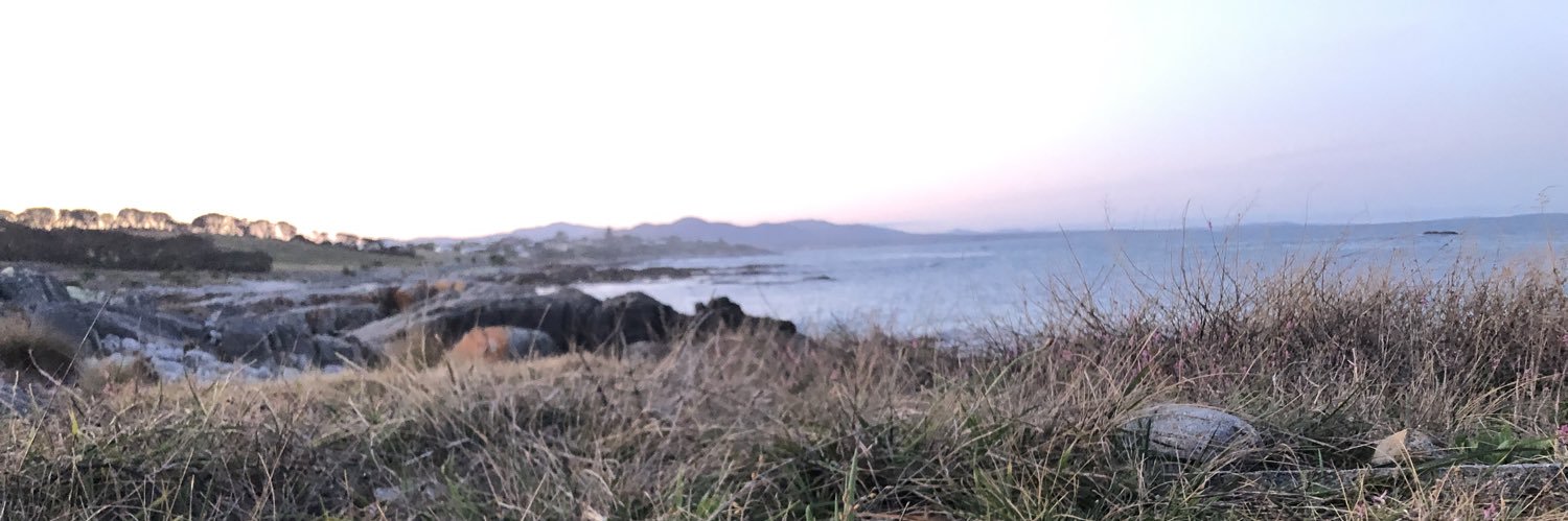Stanlertaus's profile banner image