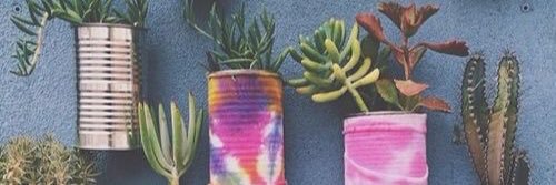 Clairee_Cheek's profile banner image