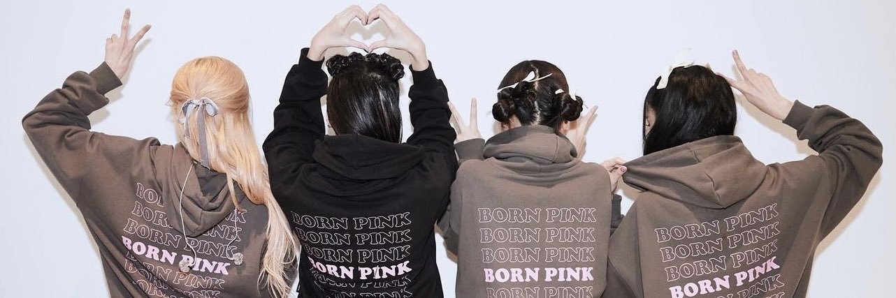 🕊 banner