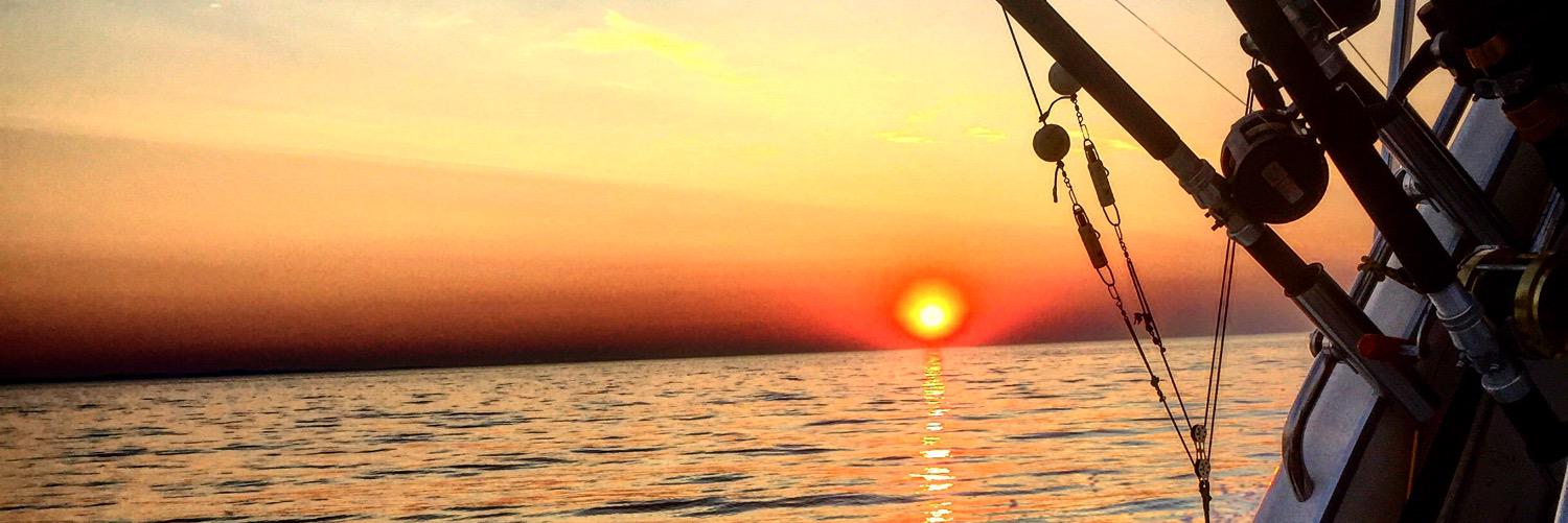 oclassene's profile banner image