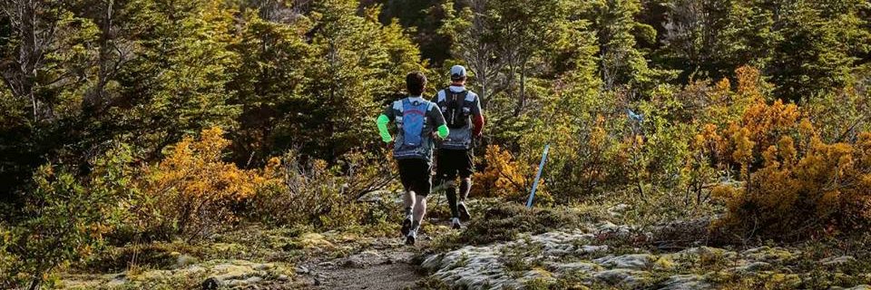 Martín de Iruarrizaga banner