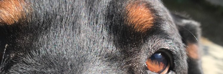 Tony_Watson773's profile banner image