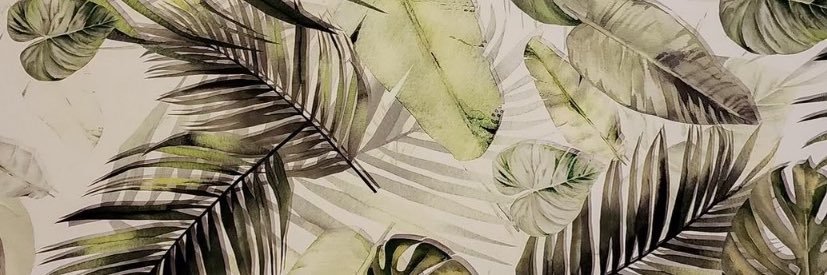 AndreaGonzalezNader's banner