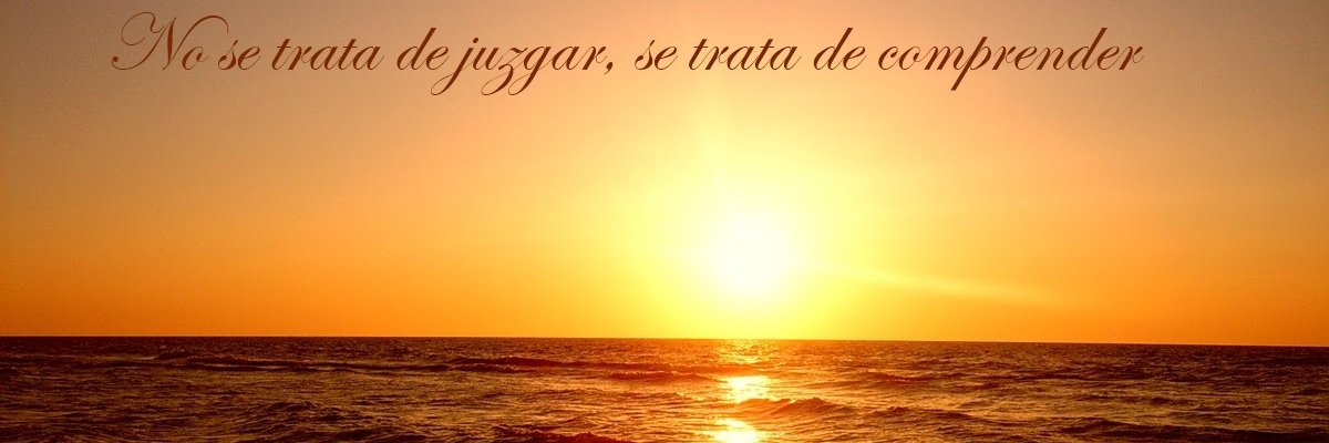 Arce banner