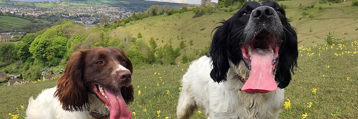 JackBenno's profile banner image