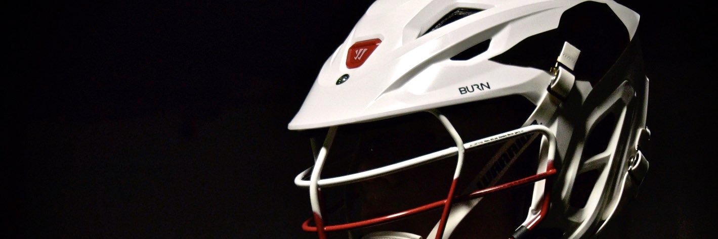 Minnesota Loons banner