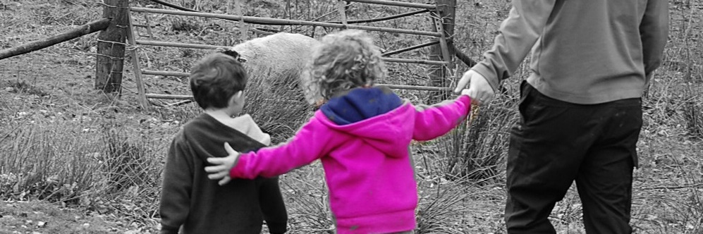 Rebecca Murphy banner