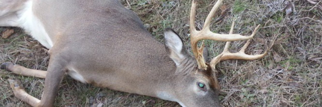 stateofnate24's profile banner image