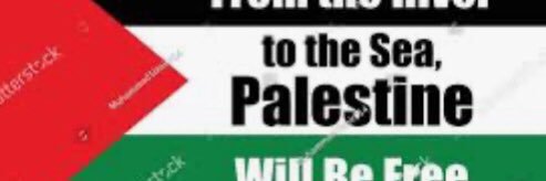 Sam Stevens🇵🇸 banner