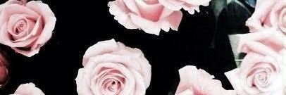 lilliyaaa's profile banner image