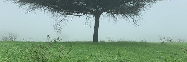 abobakr5656's profile banner image