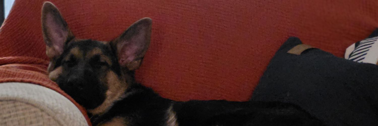 erinsn77's profile banner image