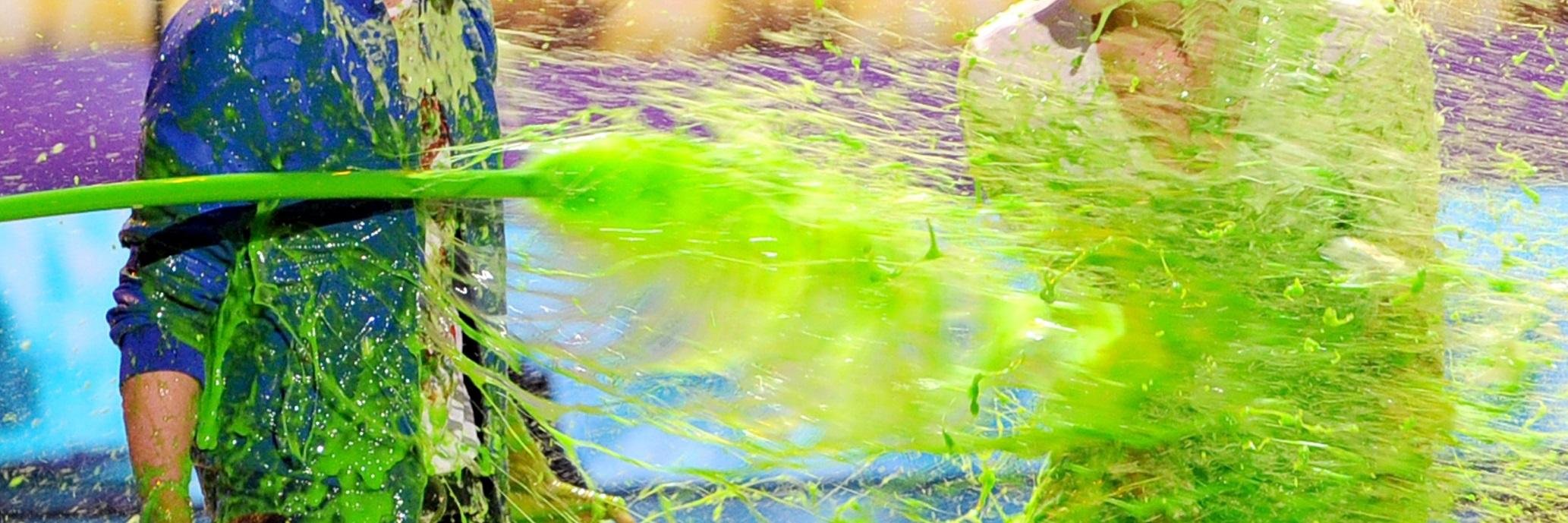 benslimed's profile banner image