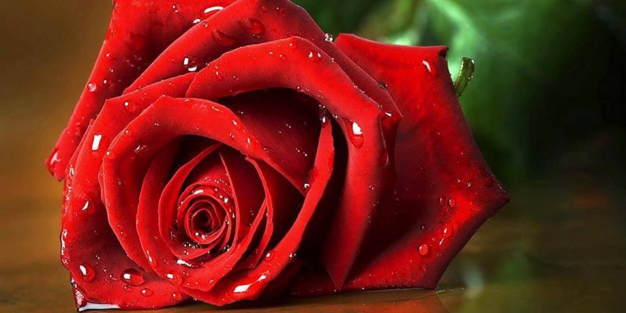 Mse_Eman's profile banner image