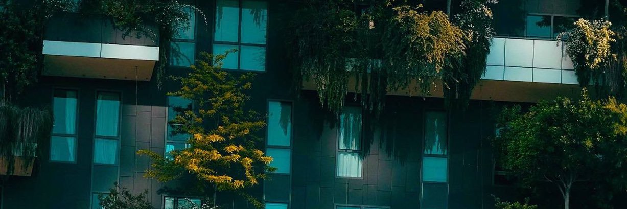 abenezer_x's profile banner image