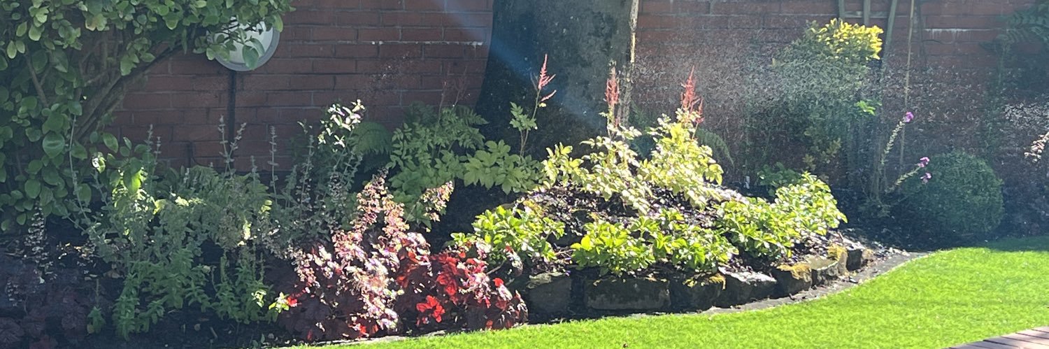 Stephen Simmonds banner