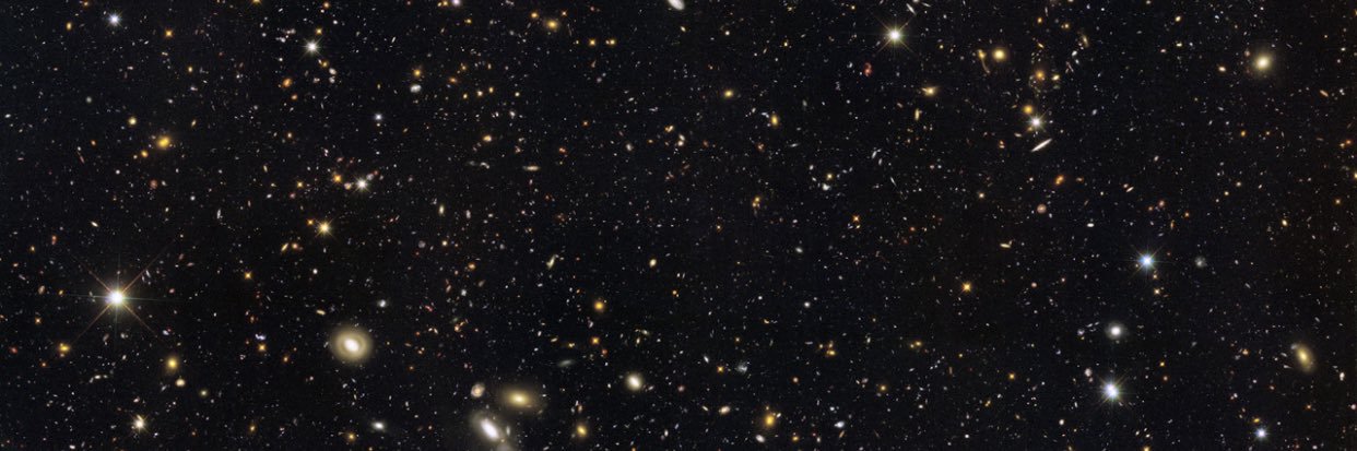 leaaannneeee's profile banner image