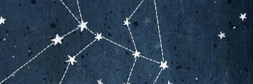 cat_walk22's profile banner image