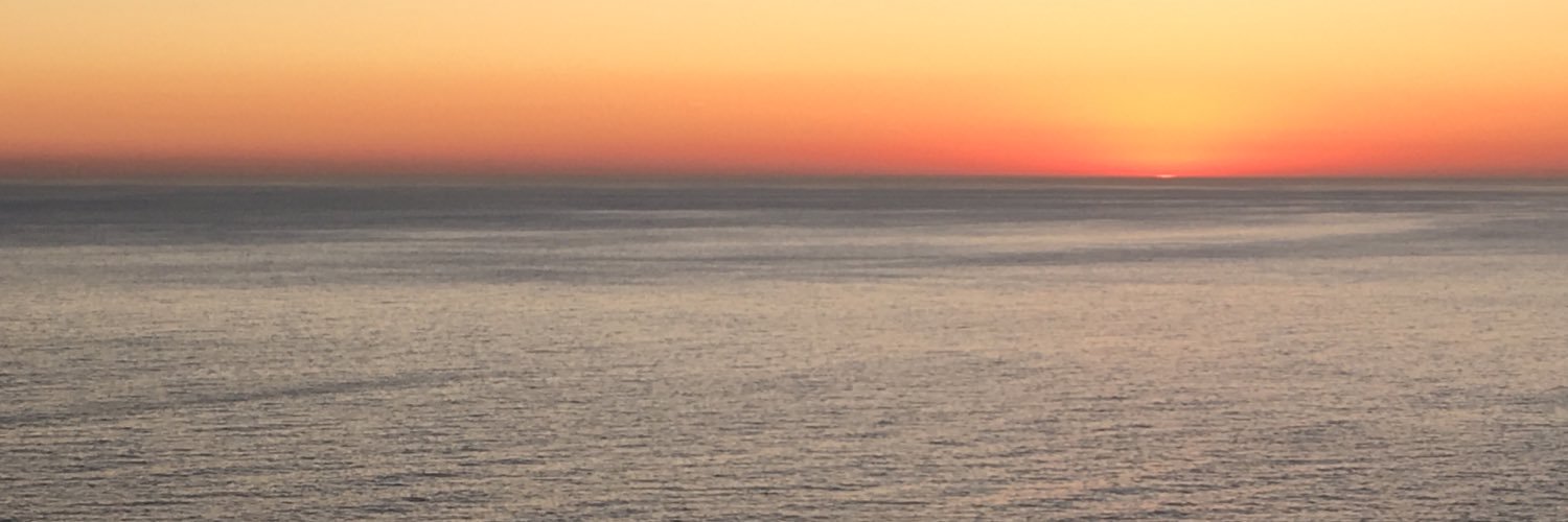 irenelein's profile banner image