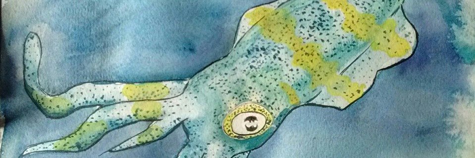 Gettothepointst's profile banner image