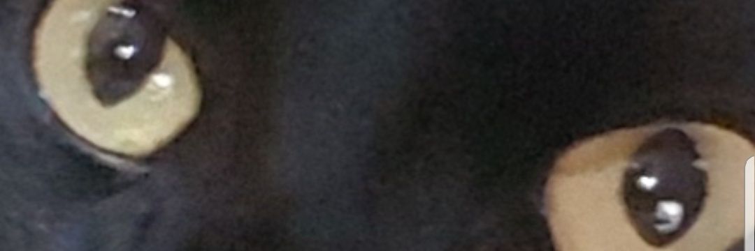 MarcelloTallo's profile banner image