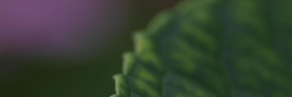 jftdtdddd's profile banner image