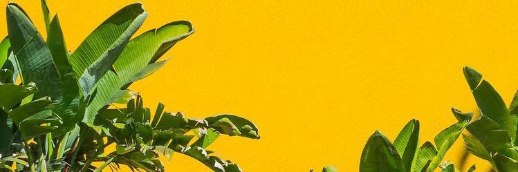 LuisaSinis's profile banner image