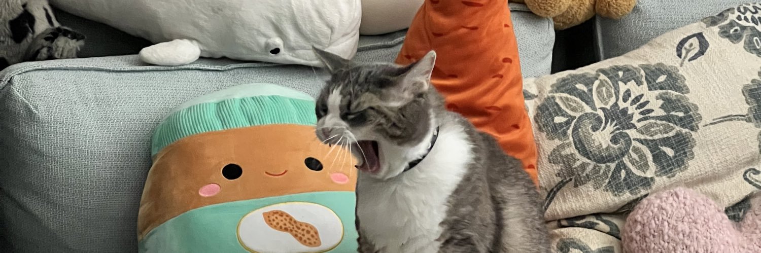 danklilcrispy's profile banner image